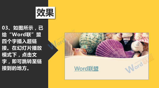 全能女神主播小说阅读——国产av无吗一区二区在线观看，直播间里的璀璨人生