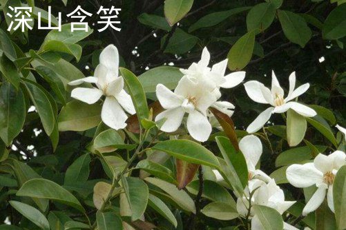 镜头水滴a亚洲在线观看不卡高清微观世界里的宏观故事