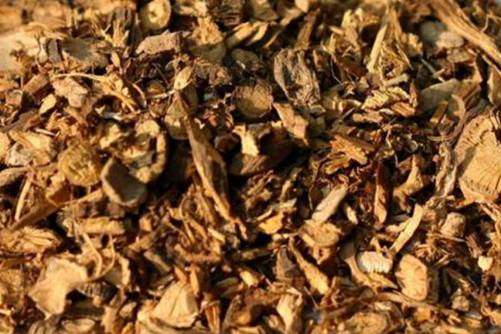 徕卡X2的镜头国产98视频在线播放，精密工艺与无尽创意的交汇点