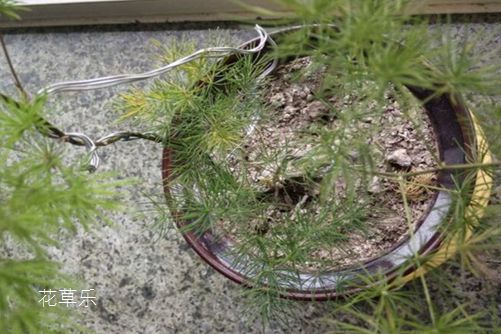 单反镜头划痕修复无码av在线a√av在线，专业指南，让摄影重焕新生